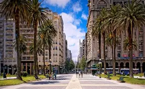 乌拉圭绝杀韩国,维尼修斯制霸全场 乌拉圭绝杀韩国,维尼修斯制霸全场